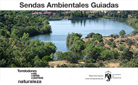 Sendas ambientales guiadas por Torrelodones: mayo