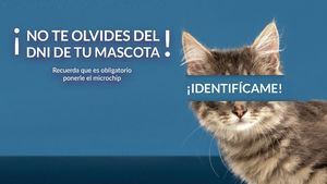 Boadilla inicia una campaña de concienciación para identificar con microchip a todos los animales de compañía