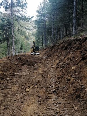 Ecologistas denuncia que la construcción de una pista forestal está destruyendo una zona del Parque Nacional de la Sierra de Guadarrama