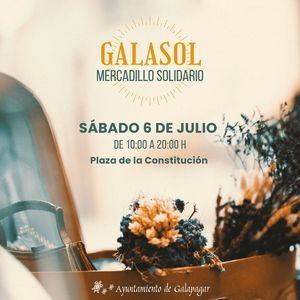 Este sábado, 6 de julio, nueva edición del mercadillo solidario Galasol de Galapagar