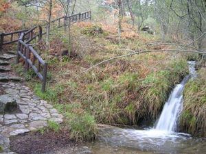 Actividades medioambientales gratuitas esperan a los madrileños en los Centros de Educación Ambiental de la Sierra