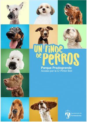 Torrelodones abre las inscripciones para participar en el ‘Finde de perros’