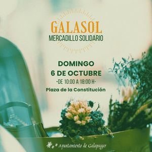 Este domingo, nueva edición del mercadillo solidario de Galapagar, Galasol