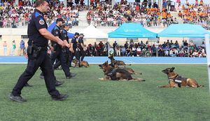 La Ciudad Deportiva de Collado Villalba acoge una exhibición de unidades policiales caninas y drones