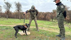 Las Brigadas de Agentes Forestales incorporan a dos perros especializados en la investigación de incendios