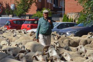 Guadarrama recuerda al naturalista y conservacionista Jesús Garzón por su defensa de la Trashumancia