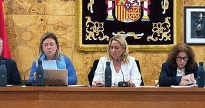 El PSOE de Torrelodones, muy crítico con la contratación de un consultor político externo por parte del Ejecutivo