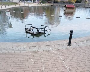 Denuncian actos vandálicos en la Laguna del Carrizal de Collado Villalba