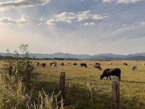 La Plataforma Salvemos Monesterio remite un informe a varias direcciones generales contra el proyecto del AgroHub