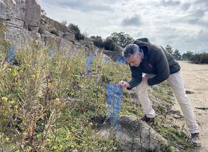 La Comunidad de Madrid recupera la dehesa de La Golondrina, junto al embalse de Navacerrada