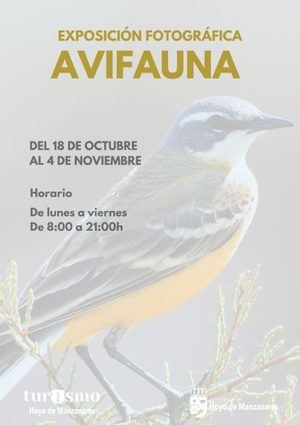 Hasta el 4 de noviembre se puede ver en el Centro Cultural de Hoyo de Manzanares una exposición sobre avifauna