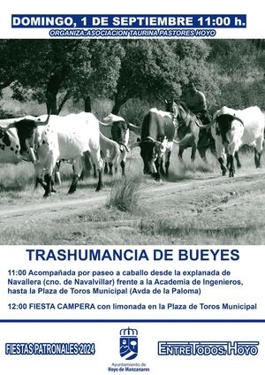 Hoyo de Manzanares presenta el programa de Festejos Taurinos de sus Fiestas Patronales