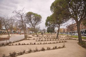 Finalizan los trabajos de renovación integral del bulevar de la calle Camilo José Cela en Las Rozas