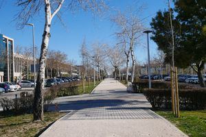 Finaliza la remodelación del bulevar de la calle Chile en Las Rozas