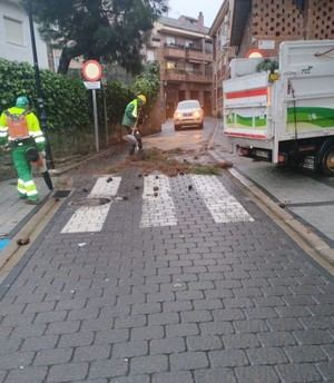 Galapagar inicia una campaña excepcional de poda del arbolado que interfiere en la iluminación de la vía pública