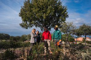 La Berzosa, en Hoyo de Manzanares, uno de los enclaves en los que los retenes forestales de la Comunidad de Madrid trabajan en la prevención de incendios