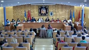 Los escolares de Torrelodones piden más pistas de skate, un cine y juegos inclusivos en el Pleno Infantil