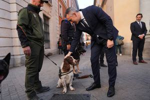 Premio a las unidades caninas de la Comunidad de Madrid por su trabajo tras la DANA de Valencia