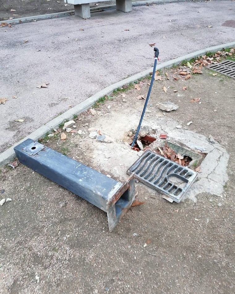 Denuncian actos vandálicos en la Laguna del Carrizal de Collado Villalba